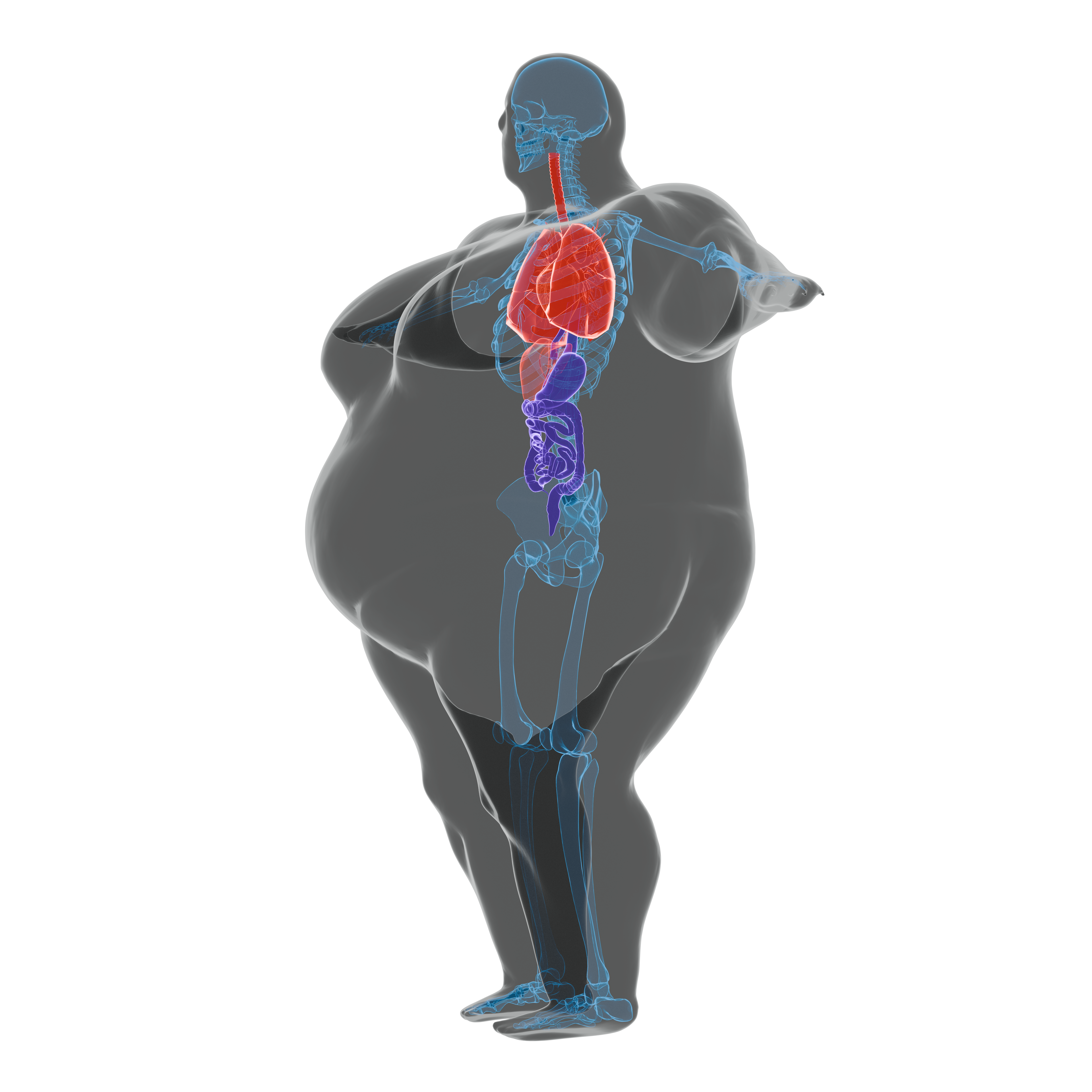 4K Woman Fat Seethrough 3rd View - Angled cross-section